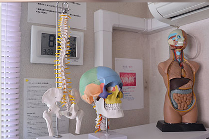 歯並びと人体の関連（カウンセリング時）